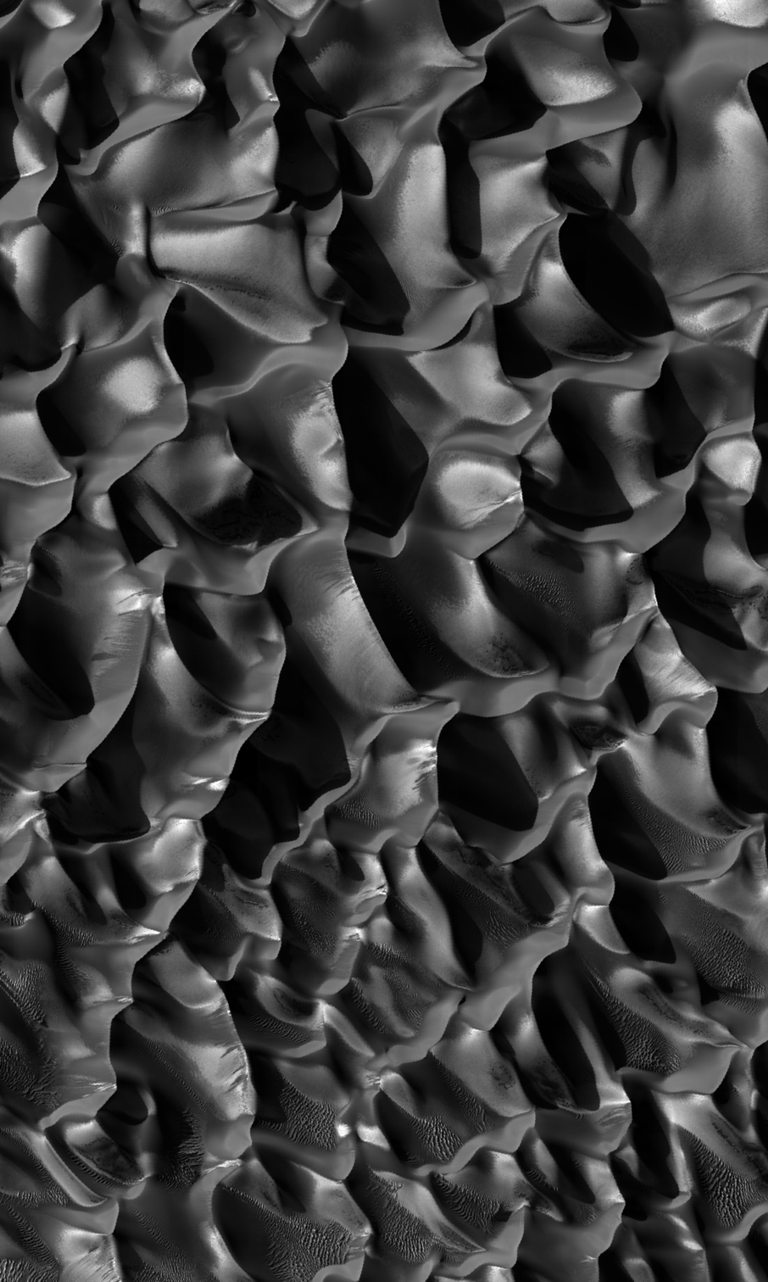 D�nenfeld im Proctor Krater